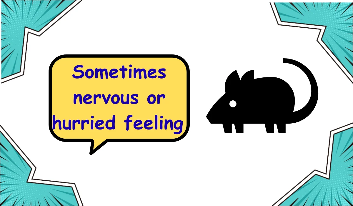 scamper meaning