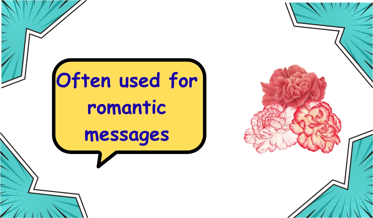 carnations meaning