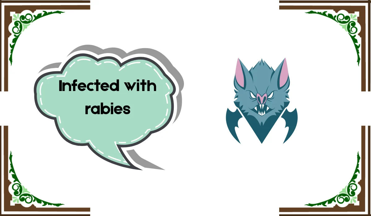 rabid meaning