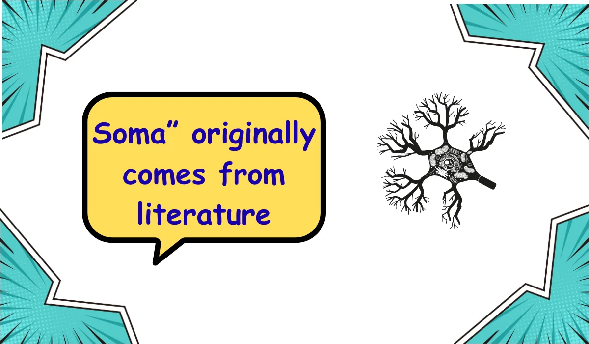 soma meaning