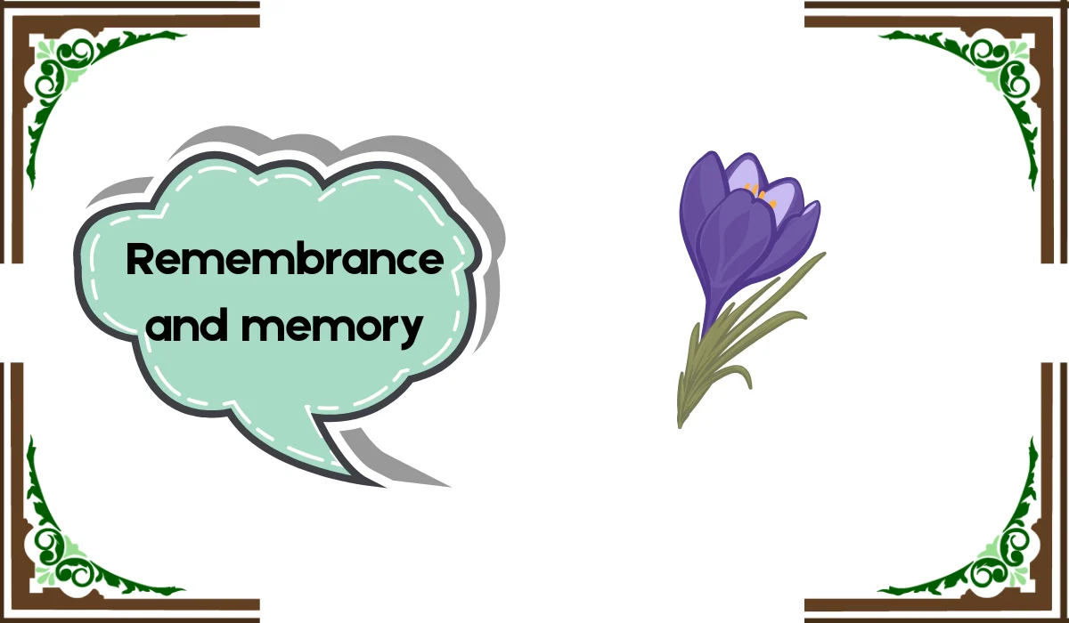 violet flower meaning