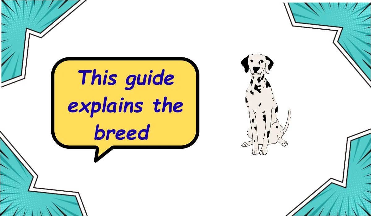breed meaning